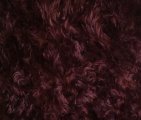 #1039 KDW85-5957 Black/Burgundy Witch Fabric F(1/4)