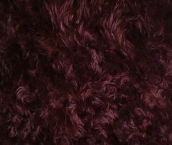 #1039 KDW85-5957 Black/Burgundy Witch Fabric F(1/4)