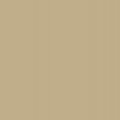 Light Tan-US #384 (Chamois) 3591