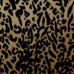 Jaguar Print-Light LUS #231