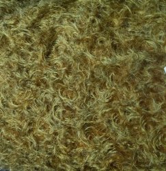 #1335 PMF16-5326 Gold with black fibers (1/2 yd)